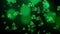 ST Patrick`s day background green clover leaf bokeh lights defocused for ST Patrick`s day celebration design background