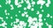 St. Patrick`s Day clover flying animation. Four-leafed and three-leafed clover. White clover leaves on a green background.