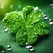 St. Patrick\\\'s Day Clover Sheet with Dew Drops