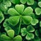 St. Patrick\\\'s Day Clover Sheet with Dew Drops