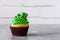 St. Patrick`s Day cupcake on gray background.