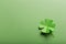 St. patrick\\\'s day. green background with clover leave four-leafed. copy space.