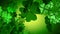 St. Patrick\'s Day - Green Four Leaf Clover Animation