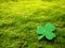 St. Patrick's Day. Natural background of moss and clover shamrock with space for text. Irish Holiday