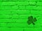 St. Patrick's Day old green brick wall with grunge texture and clover leaf. Abstract pattern. Bright background.