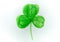 St. Patrick`s Day shamrock clover green leaf made in watercolor hand drawn, stylized on a white background