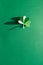 St.Patrick`s Day shamrock text greeting card raster