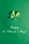 St.Patrick`s Day shamrock text greeting card raster