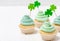 St. Patrick`s Day theme colorful horizontal banner. Cupcakes decorated with green buttercream and craft felt decorations in form
