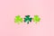 St. Patrick`s Day, three clovers on a pink background. Copy space