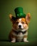 St. Patricks corgi puppy dog in a leprechaun hat on green background.