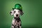 St. Patricks dalmatian puppy dog in a leprechaun hat on green background.