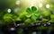 St Patricks Day Blurred Background. Photorealistic big five leaf clover in the center, close up, luck winning ticket.