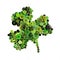 St Patricks Day button shamrock