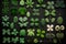 St patricks day lucky four leaf clover background. Generative ai
