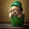 St Patricks Day Maltipoo Puppy 2 - AI Generative