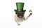 St patricks day pug puppy dog with green leprechaun hat and pipe, holding up shamrock clover