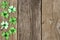 St Patricks Day side border of shamrocks over rustic wood