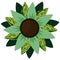 St Patricks Day Sunflower
