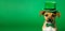 A St. Patricks Day-themed image featuring a dog wearing a top hat on a green background