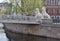 St. Petersburg, Griboyedov Canal. Lviny (Lion) Bridge