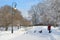 St. Petersburg, Russia, Fabruary, 22, 2018. Elderly woman with small dogs walking in the Smolny garden in winter sunny day