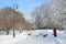 St. Petersburg, Russia, Fabruary, 22, 2018. Elderly woman with small dogs walking in the Smolny garden in winter sunny day