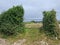 St Saviour Field Gate, Guernsey Channel Islands