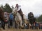 St. Todor â€™s day. Race with horses and horses pull carts with heavy logs on Todorov day.