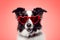 St. Valentine's Day concept. Funny portrait cute puppy dog border collie with a heart shaped sunglases.