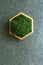 Stabilized moss in a hexagonal wooden box. Eco-friendly interior detail
