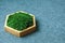 Stabilized moss in a hexagonal wooden box. Eco-friendly interior detail