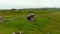 Stabilized orbit footage of The Kilclooney Dolmen, County Donegal, Ireland