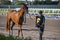 Stable boy with horse before a race.