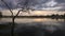 Stable and dark scene of pond, dark shaded water dead dry tree stand in between lake, reflection of grass and sky.