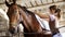 Stable, a girl rider in riding clothes sets a backing for a saddle and a saddle for riding, on the back of a brown young