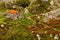 Stable and haystack - Both facilities are of great importance for traditional Asturian housing.