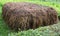 Stable manure composting