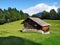 Stables and farms on cattle pastures of the Braunwald area