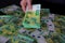 Stack of banknotes paper Euro in female hands Euro cash background on banknotes