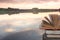 Stack of book and Open hardback book on blurred nature landscape backdrop against sunset sky with back light. Copy space, back to