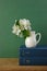 A stack of books and bird cherry branch in a jug