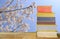 Stack of books with blurred blooming cherry tree  in the background,  springtime, reading and relaxing concept