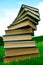 A stack of books lying on grass