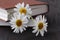 Stack of books with small bunch of daisies