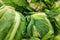 Stack of cauliflowers on a market stall