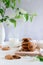 A stack of chocolate chip cookies with milk and some spring blooming branches