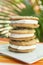 Stack of Chocolate Chip Ice Cream Sandwiches