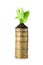 Stack of coins and green plant isolated on white. Successful investment