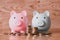 Stack coins and piggy bank on wooden background, two pink and blue piggy bank saving money for education study or investment
